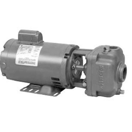 Burks Boiler Feed water Pumps