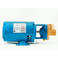Burks Boiler Feed water Pumps CT