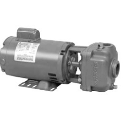 Burks Boiler Feed water Pumps CS